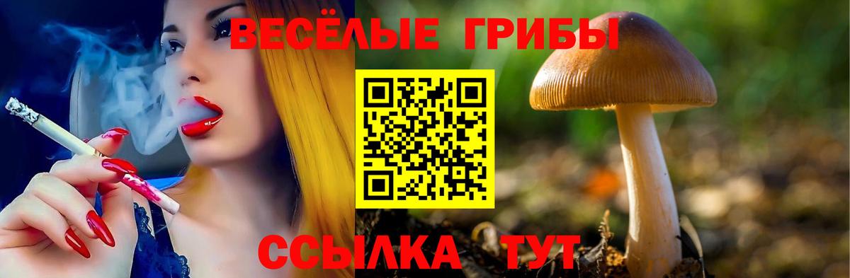 Богородицк  Псилоцибиновые грибы мухоморы  Псилоцибиновые грибы Cubensis  Вход с VPN 